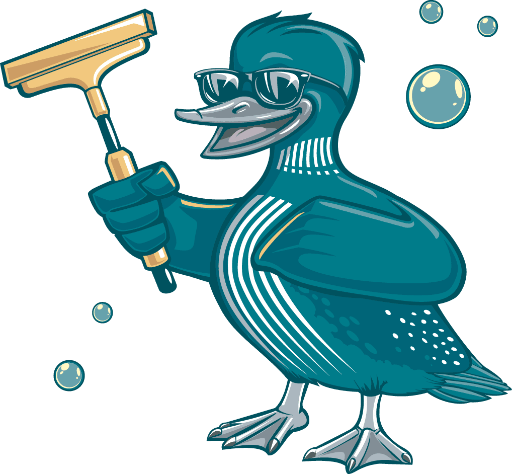 color logo graphic of loon holding a squeegee - LoonShine Exterior Cleaning Services