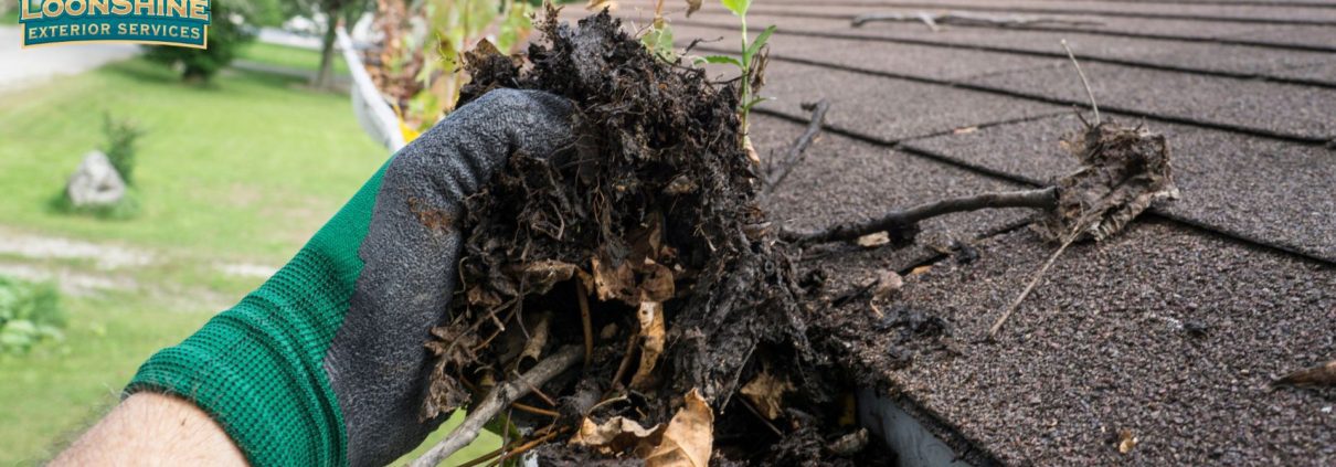 person wearing a green glove scooping out leaves from a gutter - LoonShine Exterior Services reliable home exterior maintenance in Maple Grove and Plymouth