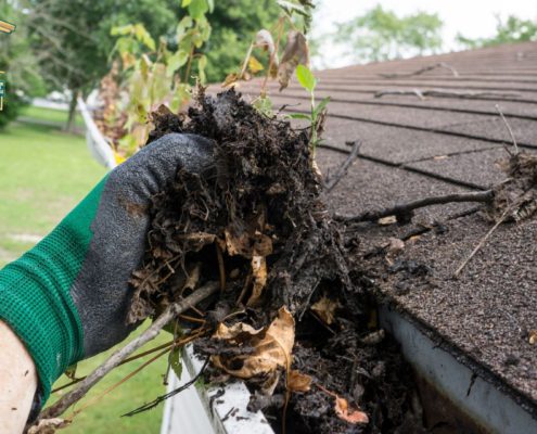 person wearing a green glove scooping out leaves from a gutter - LoonShine Exterior Services reliable home exterior maintenance in Maple Grove and Plymouth