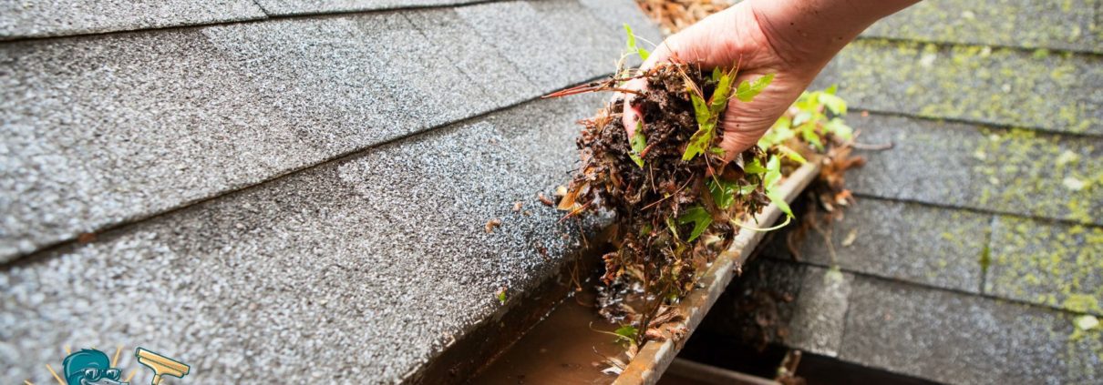 person scooping debris from gutters - LoonShine Exterior Services when should i schedule spring gutter cleaning for my house